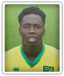 Rod Orlando-Young