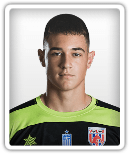 Vasilis Kravaritis