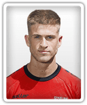 Jelle Goselink
