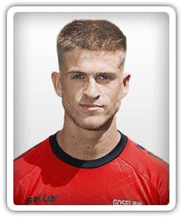 Jelle Goselink