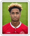 Ricardo Fernandes Pereira