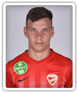 Milán Nemes