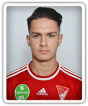Dominik Gábor Pelles