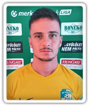 Gergely Hajnal
