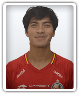 Ronaldo Julianto