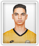 Raz Karmi