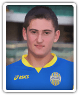 Alin Birlea