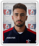 Luca Gelonese