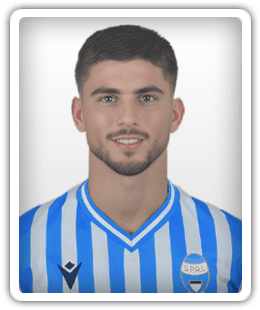 Vincenzo Polito