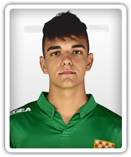 Simone Toselli