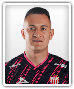 Raúl Gudiño