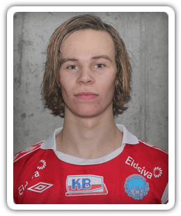 Robin Rostille