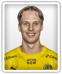 Ulrik Saltnes