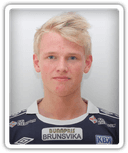 Henrik Rolland