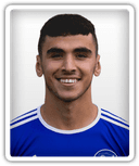 Anwar Elyounoussi