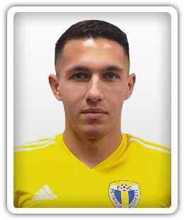 Robert Moldoveanu