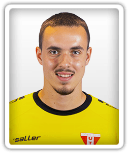 Aleksander Mitrović