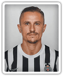 Ljubomir Fejsa
