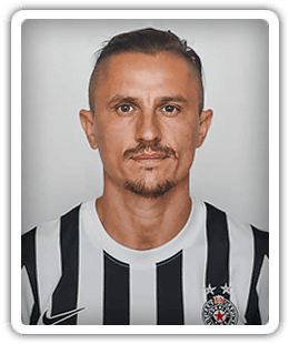 Ljubomir Fejsa