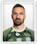 Milan Mitrović
