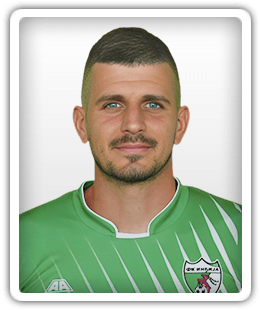 Nikola Nedeljković