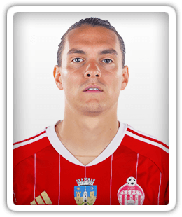 Stefan Hajdin