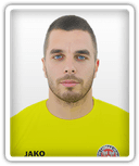 Đorđe Vukašinović