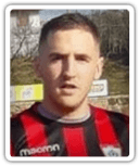 Nemanja Gajić