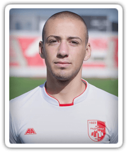 Nikola Petković