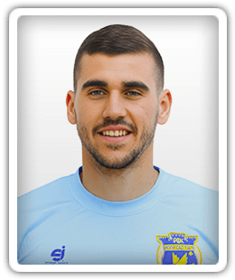 Vladan Elesin
