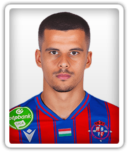 Slobodan Babić