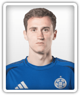 Aleksandar Mitrović