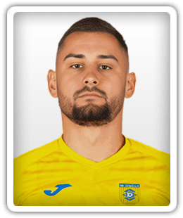 Dario Kolobarić