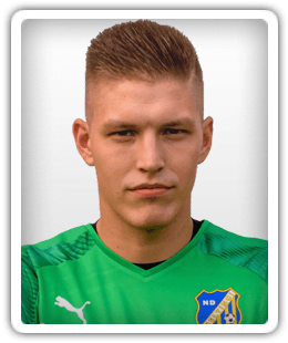 Niko Serec