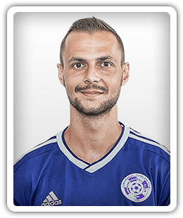 Michal Horodnik