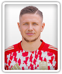 Dominik Veselovsky