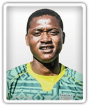 Phelelani Shozi