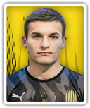Yuriy Romaniuk