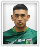 Diego Cayupil