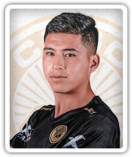 Royer Villano