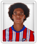 Axel Witsel