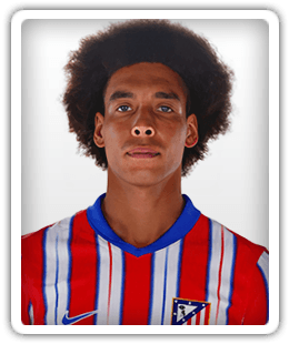 Axel Witsel