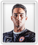 Tiago Silva