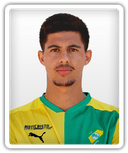 Diogo Capitão