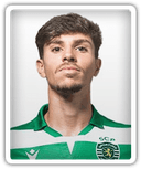 Bruno Falcão