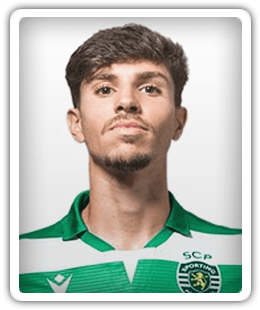 Bruno Falcão