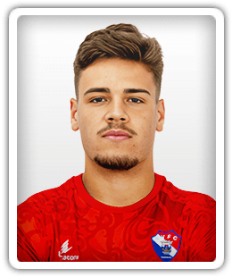 Henrique Martins