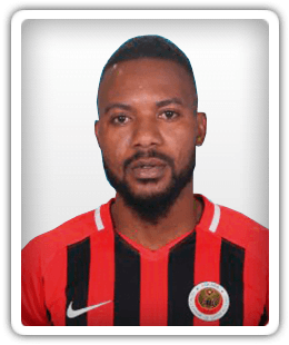Stéphane Sessegnon