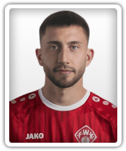 Dominik Meisel