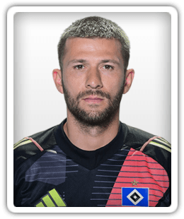 Daniel Heuer Fernandes